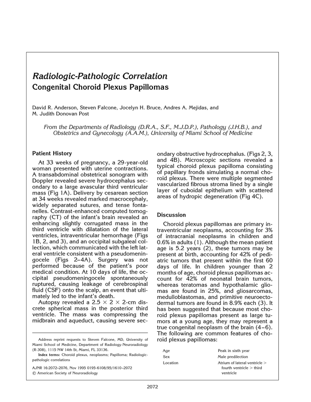 PDF extract preview