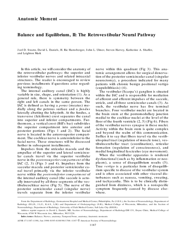 PDF extract preview