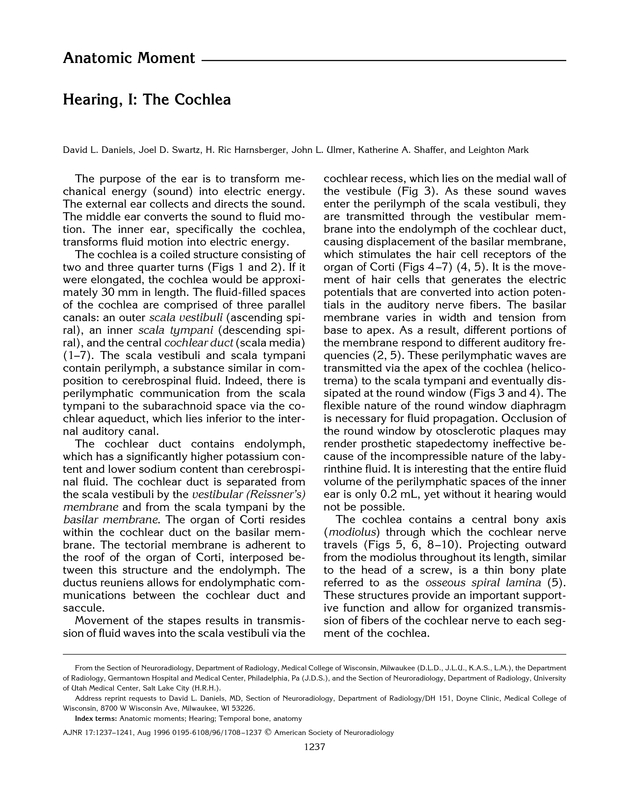 PDF extract preview
