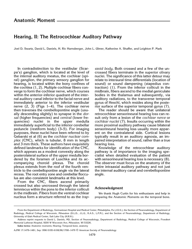 PDF extract preview