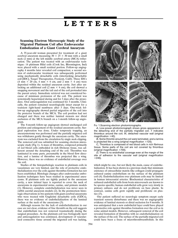 PDF extract preview