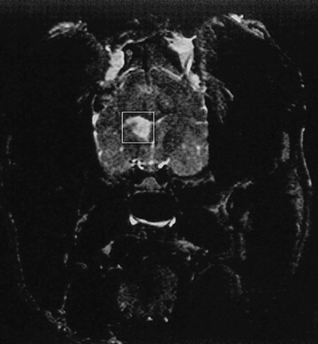 fig 1.