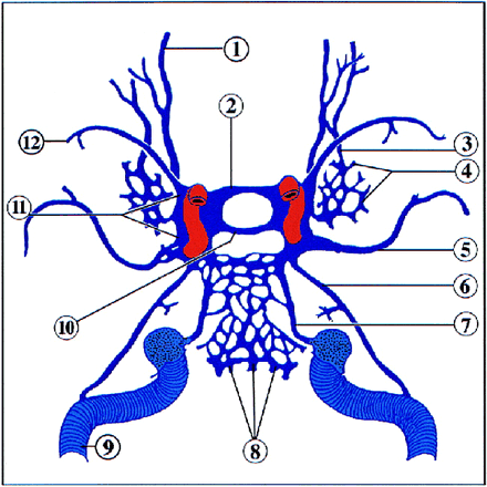 fig 5.