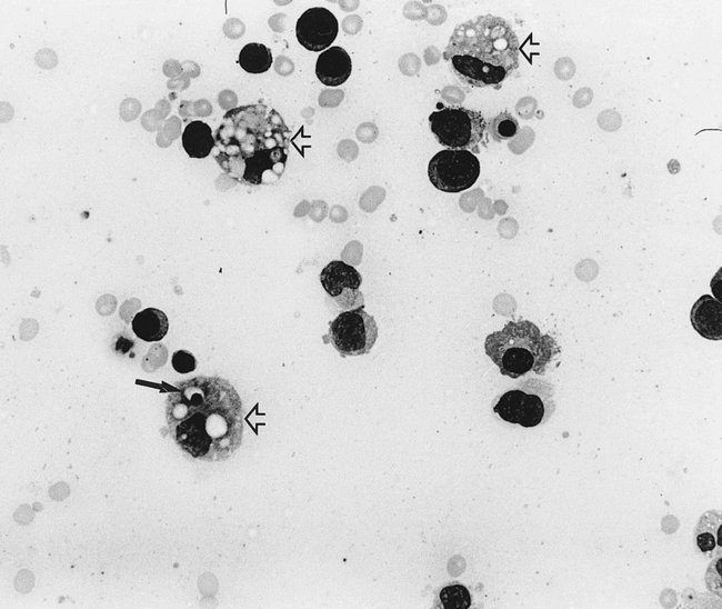 fig 1.