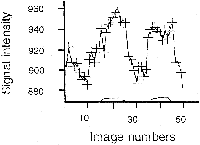 fig 1.
