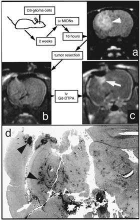 fig 4.