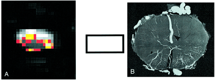 fig 4.
