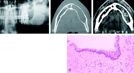 fig 1.