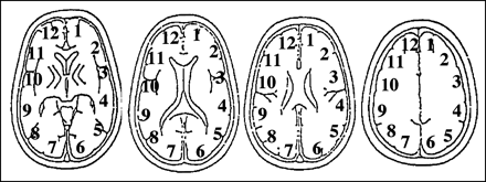 fig 1.