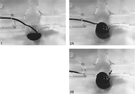 fig 1.
