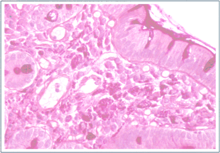 fig 2.