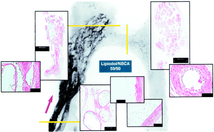 fig 2.
