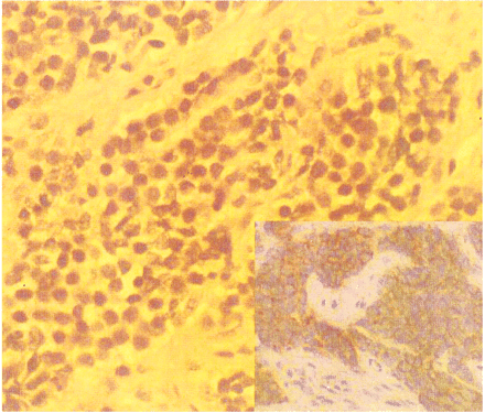 fig 2.