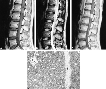 fig 1.