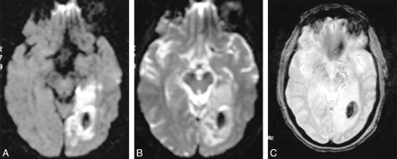 fig 1.