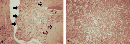 Fig 6.