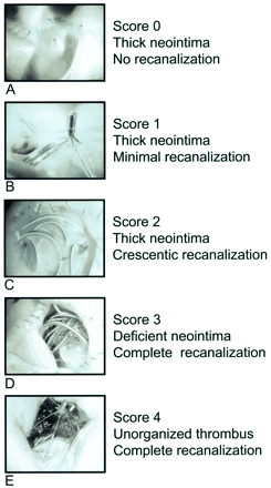 Fig 2.