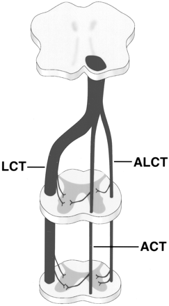 Fig 3.