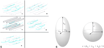 Fig 6.