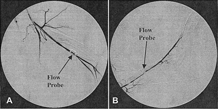 Fig 1.