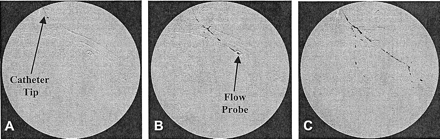 Fig 2.