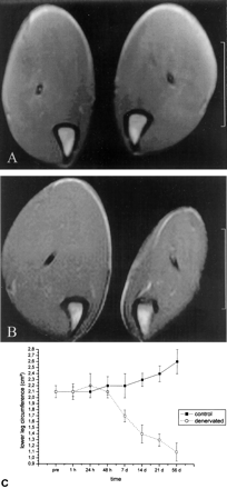 Fig 3.