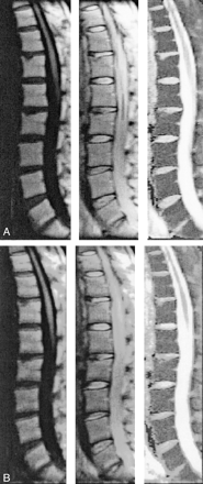 Fig 5.