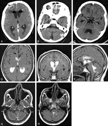 Fig 1.