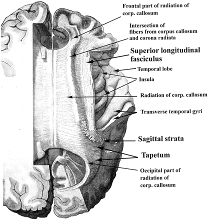 Fig 1.