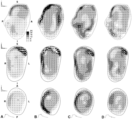 Fig 3.