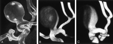 Fig 4.