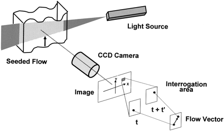 Fig 2.