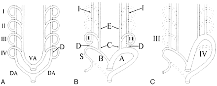 Fig 3.