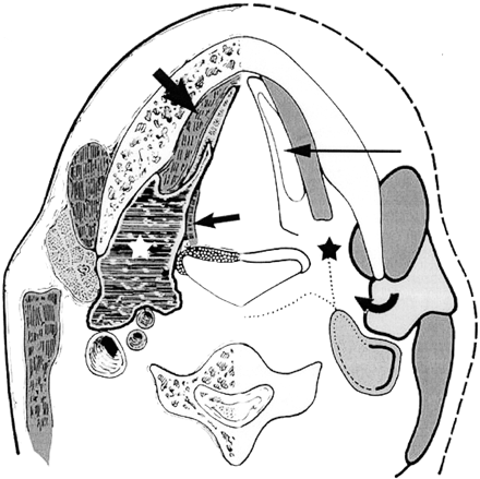 Fig 4.