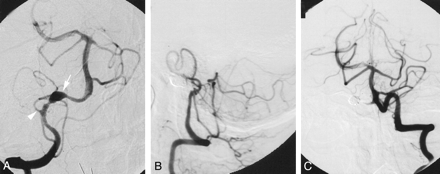 Fig 1.