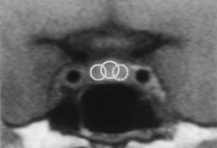 Fig 1.