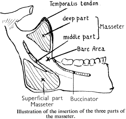 Fig 6.