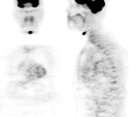 Fig 1.