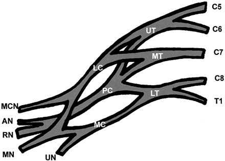 Fig 1.