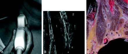 Fig 4.
