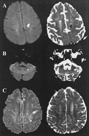 Fig 1.