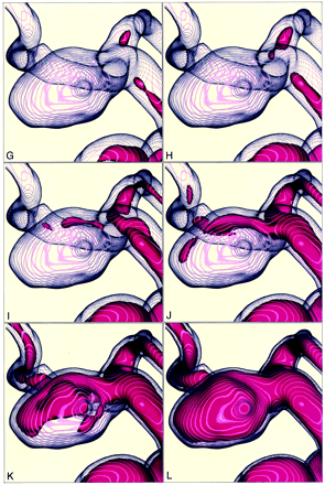 Fig 3.