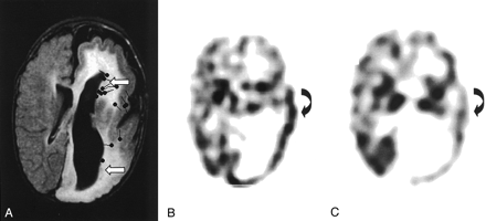 Fig 1.