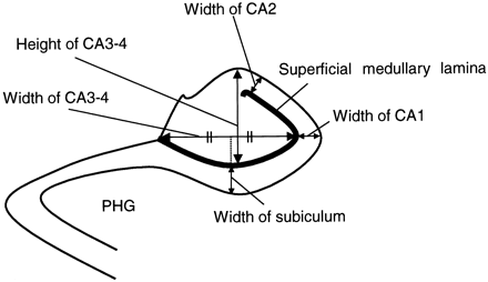 Fig 2.