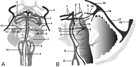 Fig 4.