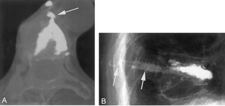 Fig 5.