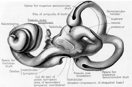 Fig 5.