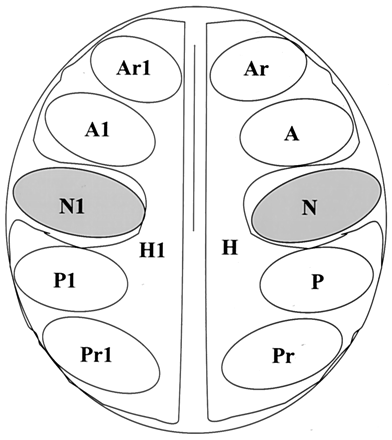 Fig 1.