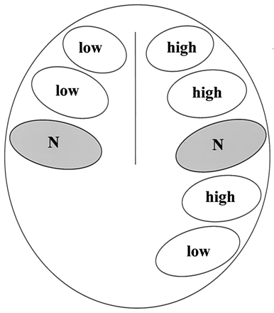 Fig 2.