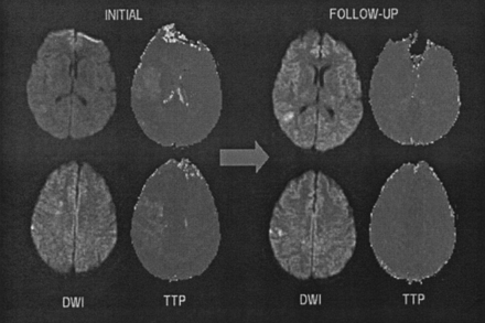 Fig 1.